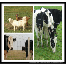 Wholesale high quality livestock fence